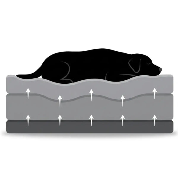 Dog resting on orthopedic bed